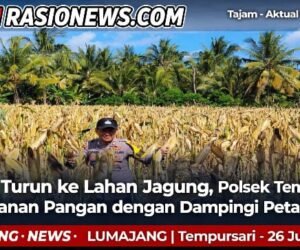 IMG 20260726 WA0021