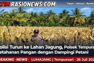 IMG 20260726 WA0021