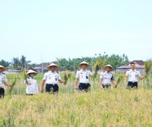 IMG 20260728 WA0030
