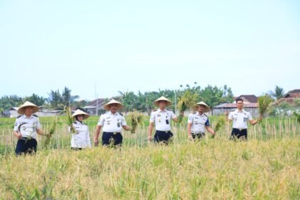IMG 20260728 WA0030