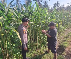 IMG 20260731 WA0027