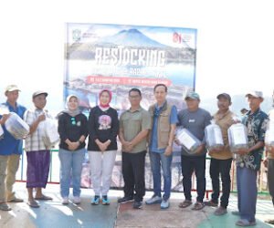 IMG 20260802 WA01012