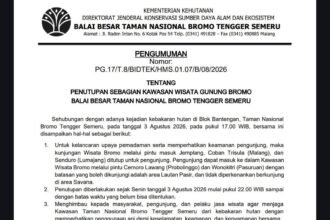IMG 20260804 WA0008