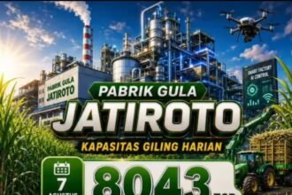 IMG 20260810 WA00561