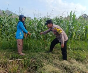 IMG 20260811 WA00611