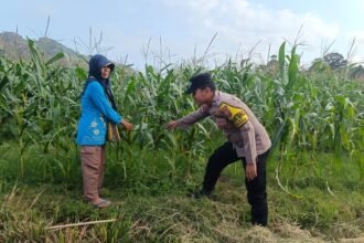 IMG 20260811 WA00611