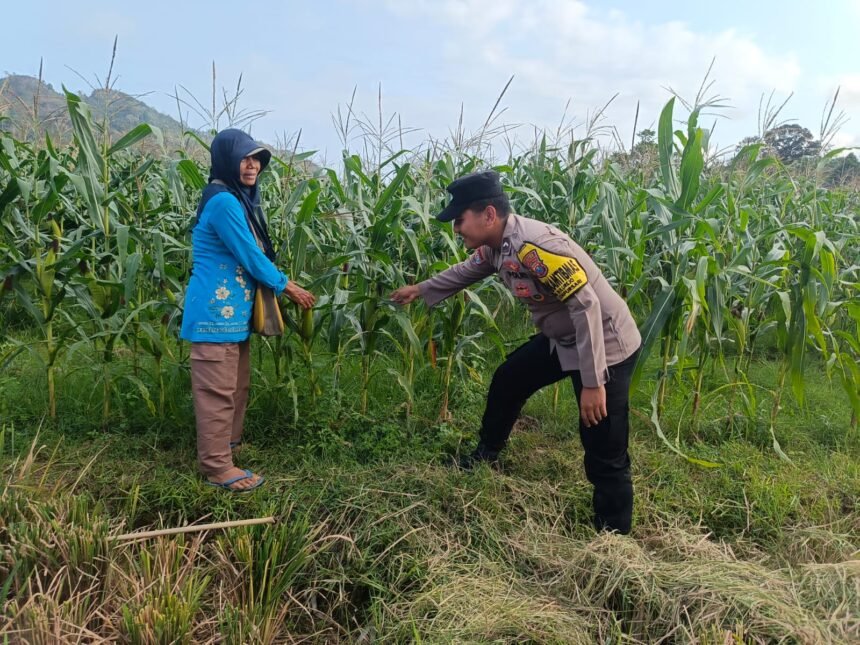 IMG 20260811 WA00611