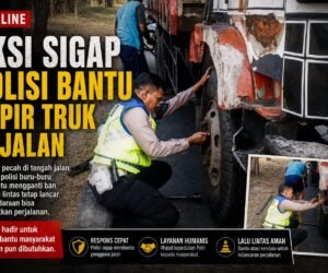 IMG 20260811 WA0339