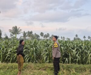 IMG 20260817 WA0087