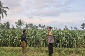 IMG 20260817 WA0087