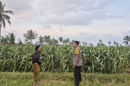 IMG 20260817 WA0087