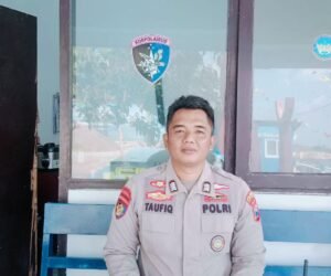 IMG 20260818 WA0101