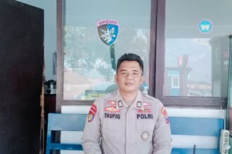IMG 20260818 WA0101