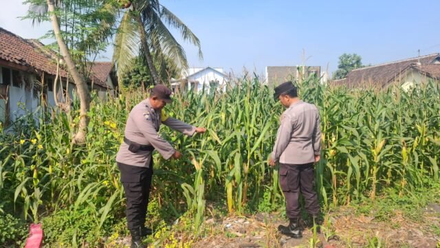IMG 20260819 WA0101