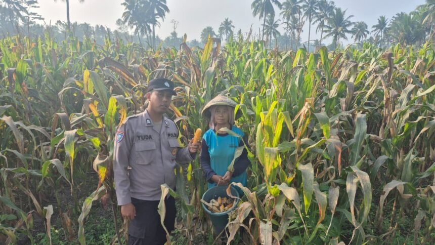 IMG 20260823 WA0045