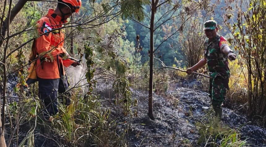 IMG 20260826 WA0005