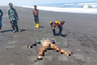 IMG 20260826 WA0134