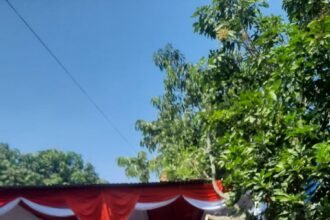 IMG 20260831 WA0042