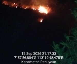 IMG 20260913 WA0115