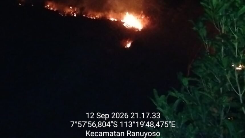 IMG 20260913 WA0115