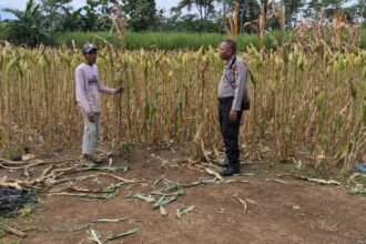 IMG 20260914 WA0023