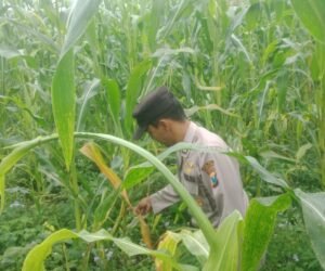 IMG 20260922 WA0091
