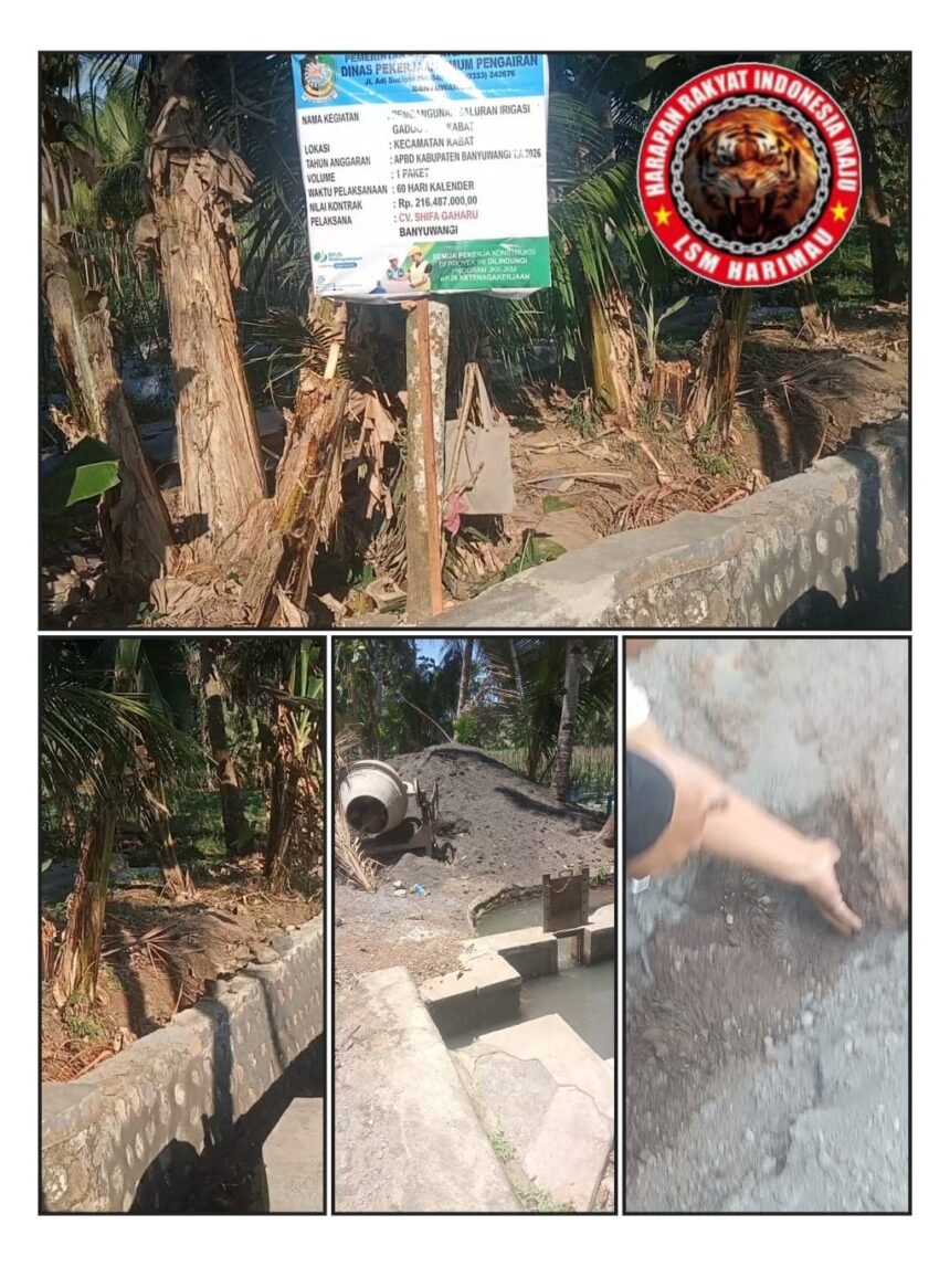 IMG 20260926 WA0263 1