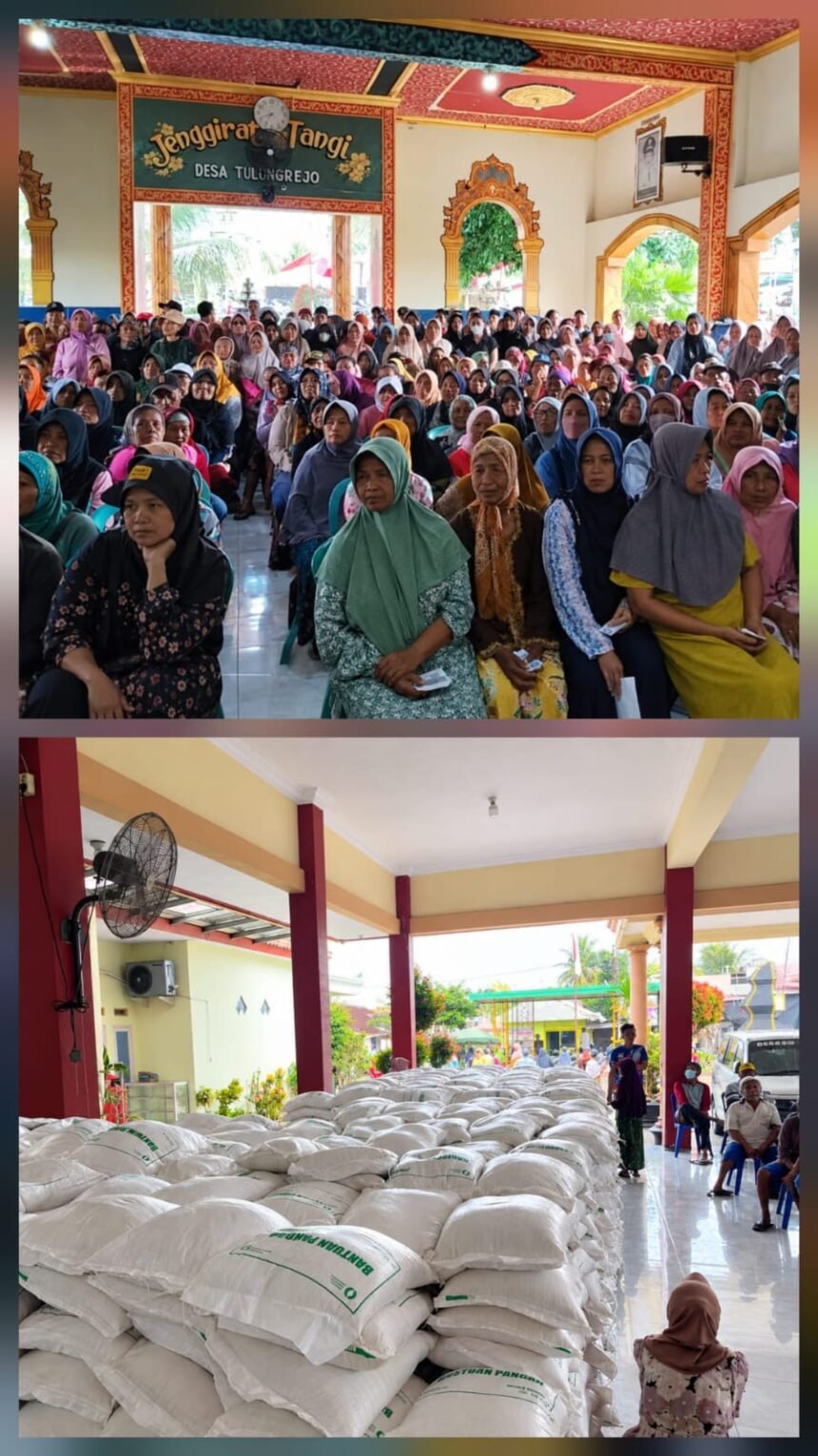 IMG 20260930 WA03381