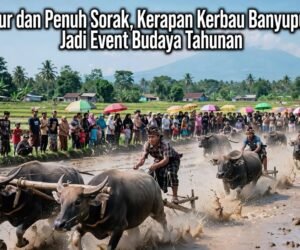 IMG 20261005 WA0142