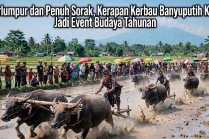 IMG 20261005 WA0142