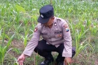 IMG 20261006 WA0159