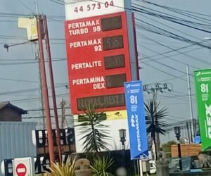 IMG 20261008 WA0052 1