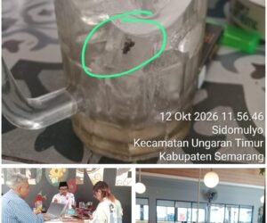 IMG 20261012 WA0023