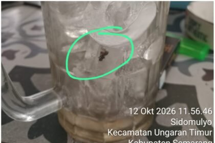 IMG 20261012 WA0023