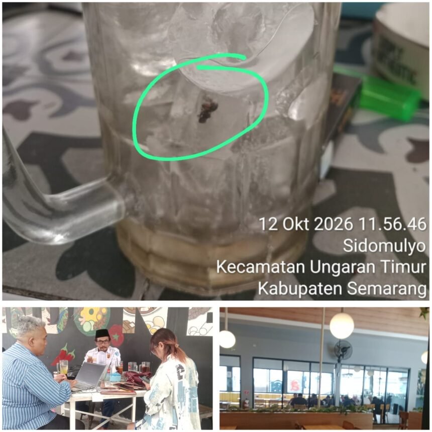 IMG 20261012 WA0023