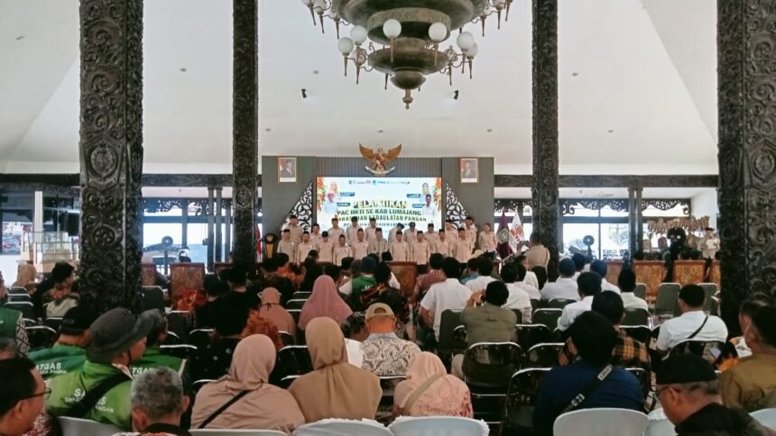 IMG 20261017 WA0006
