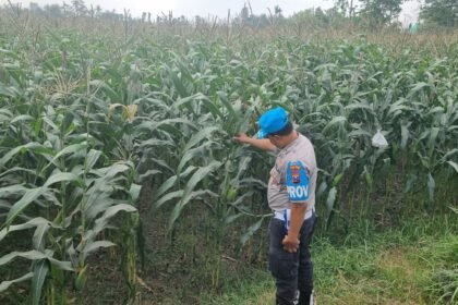 IMG 20261018 WA0040