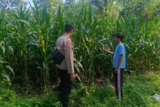 IMG 20261019 WA0104