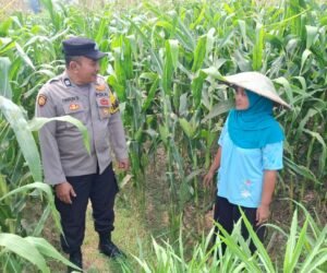 IMG 20261020 WA0067