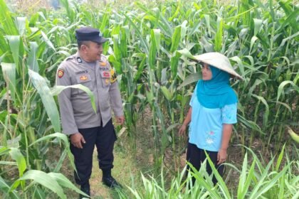 IMG 20261020 WA0067