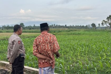 IMG 20261028 WA0000