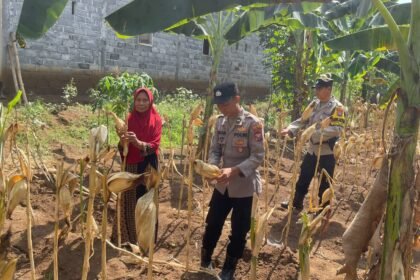 IMG 20261029 WA0103
