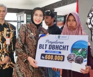 IMG 20261030 WA00611