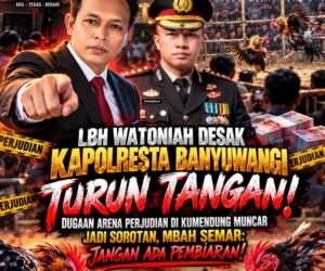 IMG 20261030 WA01551