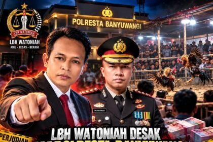 IMG 20261030 WA01551