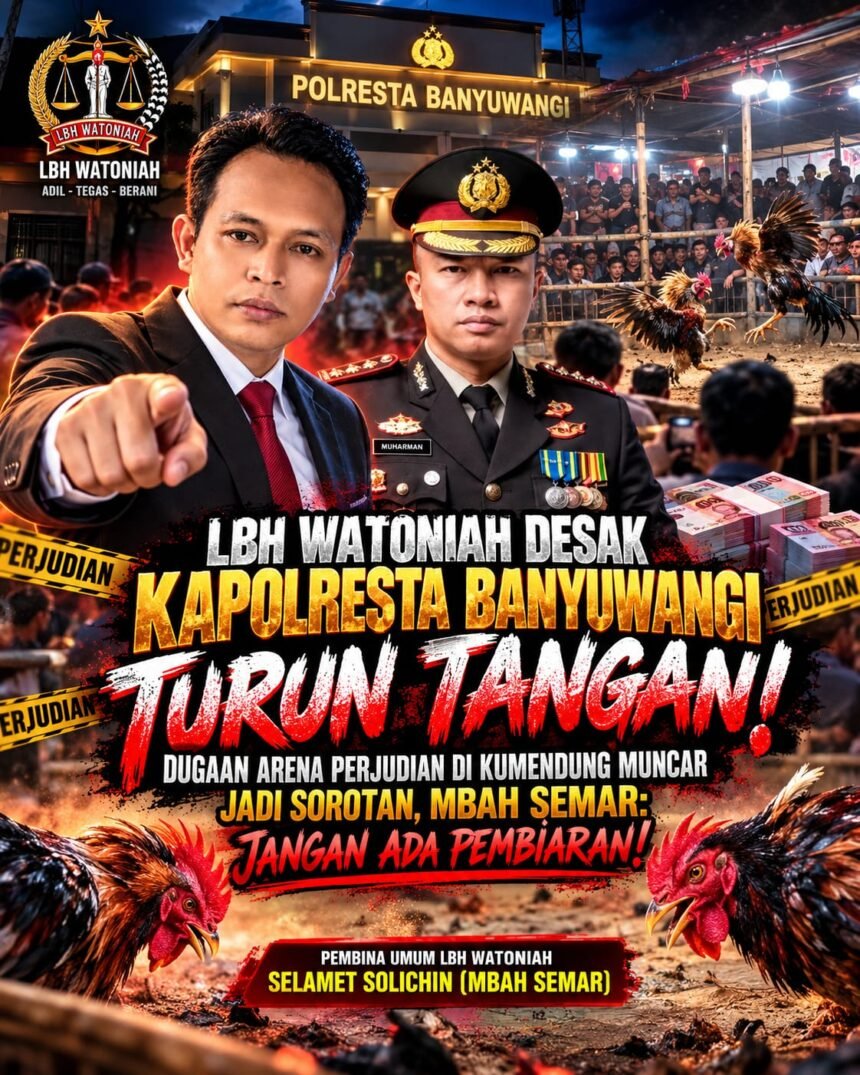 IMG 20261030 WA01551